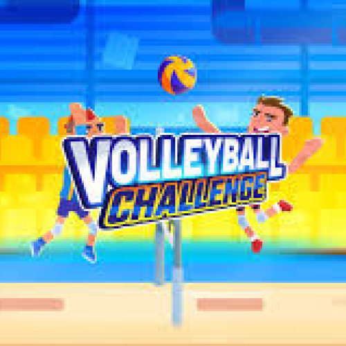 Volleyball Challenge